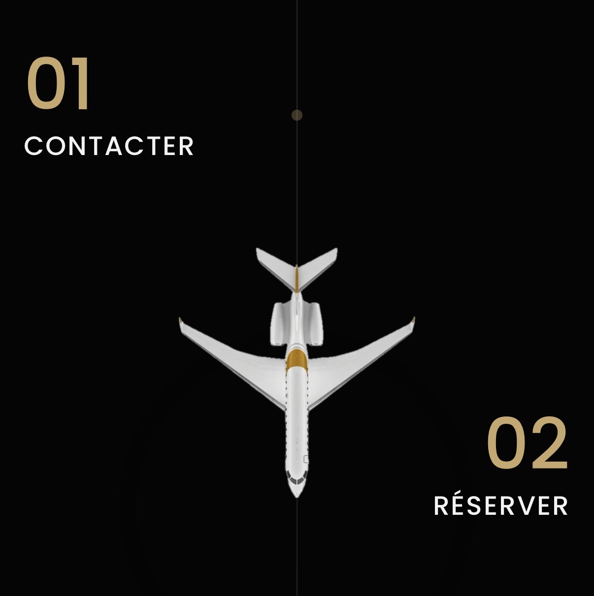 Prestige Air — screenshot 4